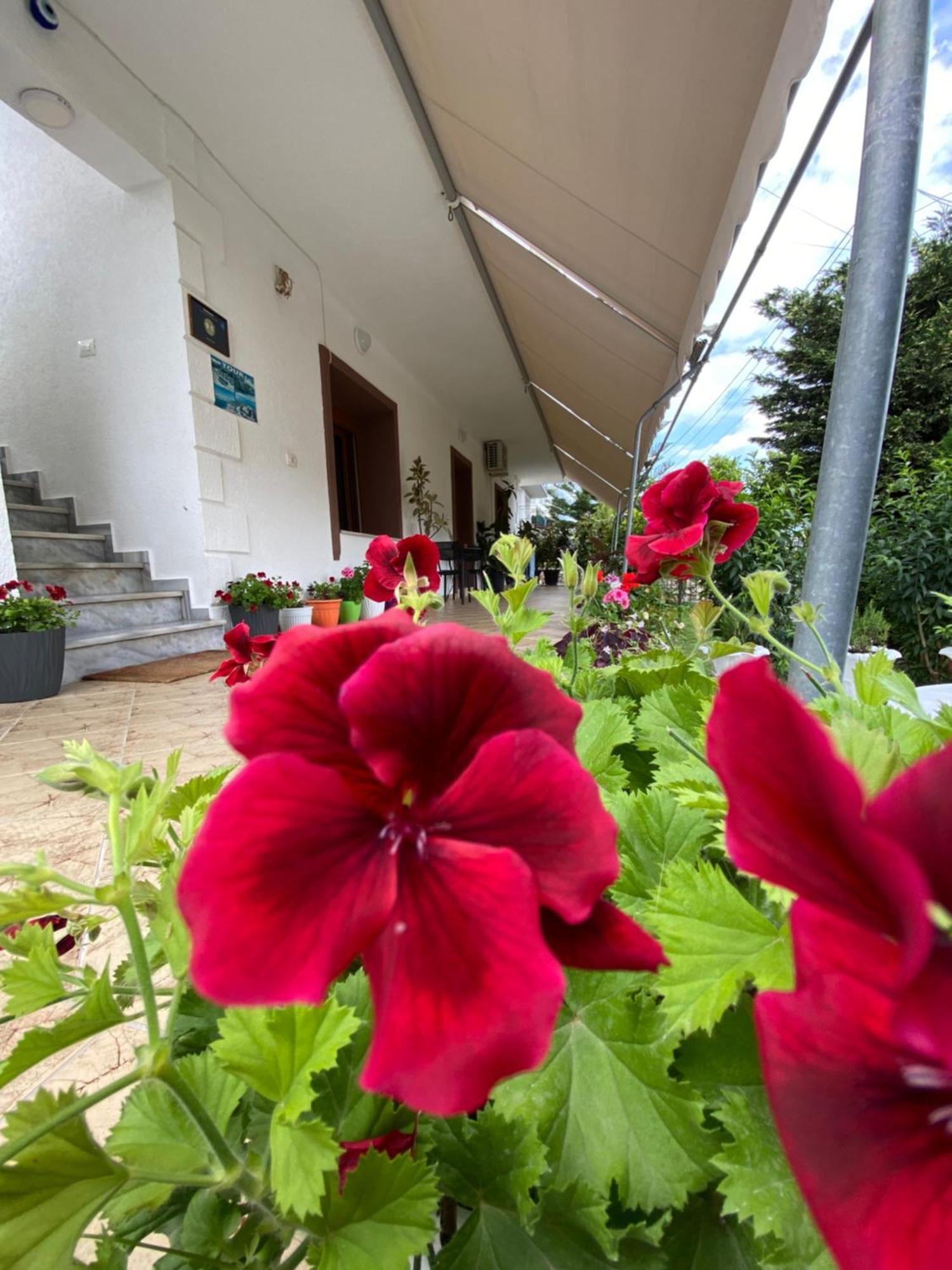 Vila Renato Ksamil Extérieur photo